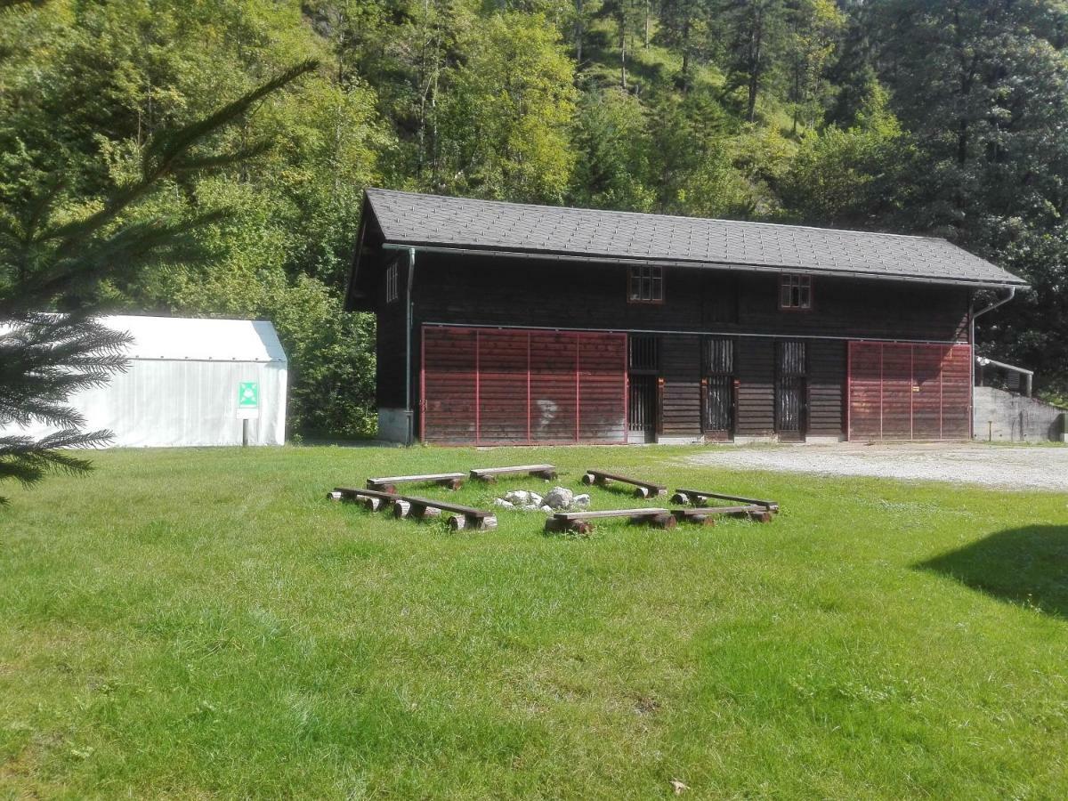 Penzion Black Sheeps Adventures Wildalpen Kültér fotó